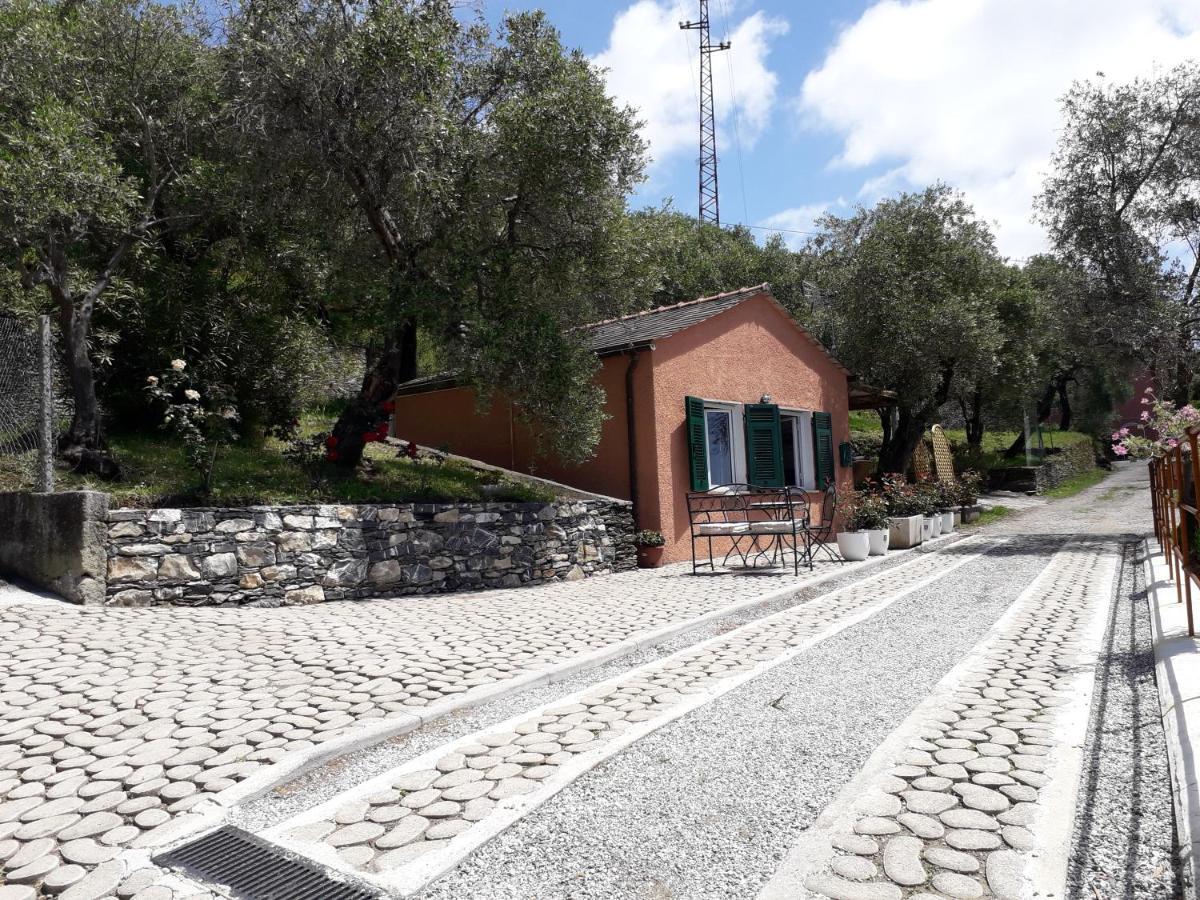Tigullio Vacations Panoramica Apartments Лаваня Екстериор снимка
